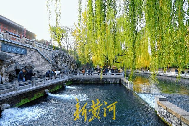 黑虎泉保持历史同期之首，冬日的泉水为何仍然活跃灵动？