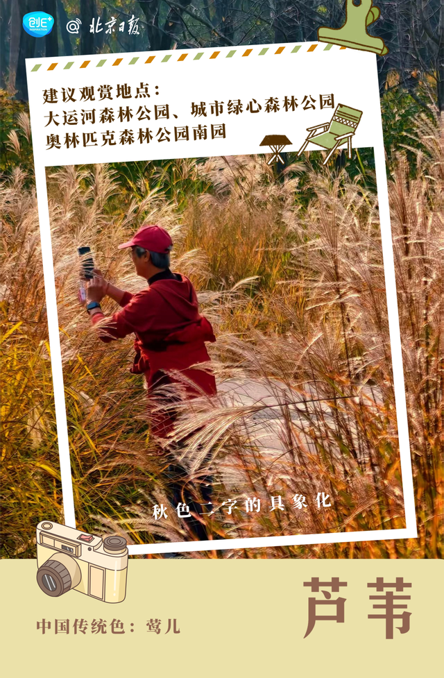 不只有红叶，北京的秋色能有多惊艳