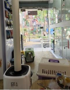 宠物消费调查！附避“坑”指南→