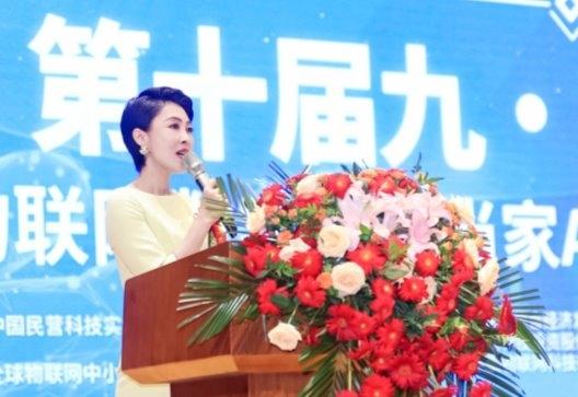 第十届九三物联网日暨物联网数字化正当家AI智能体商超启动大会召开