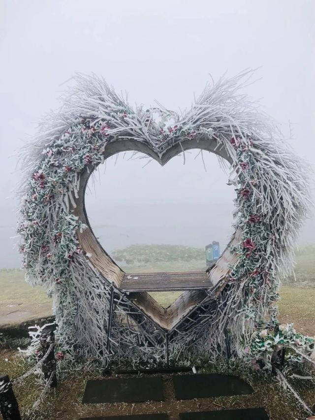 美到词穷！郴州首场雾凇惊艳上线