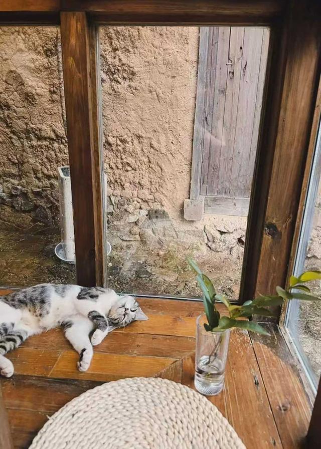 王凡柯：松阳记忆