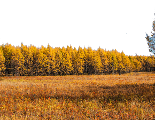 东阳这条研学线路，首批省级优秀！