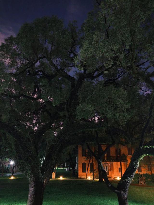 收藏这篇就够了！本地人私藏的广州逛吃指南