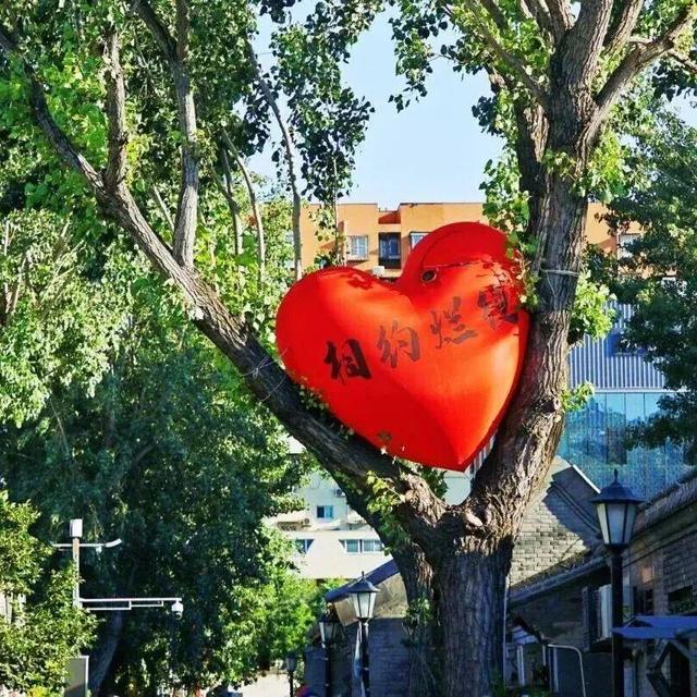 返程路上翻“朋友圈”，西城的快乐跳出屏幕