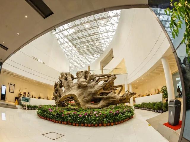 旅超·域见宝山｜宝山区大场镇都市微游路线全攻略，六大场景玩到尽兴！