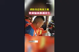 黄鼠狼跑进住户家中 消防员出警忍臭到干呕图片