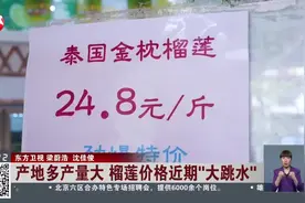 产地多产量大 榴莲价格近期“大跳水”图片