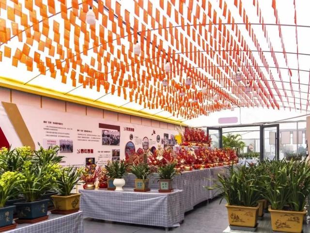 全省推荐！过年来宿迁！