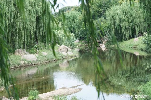 青岛海泊河公园美景