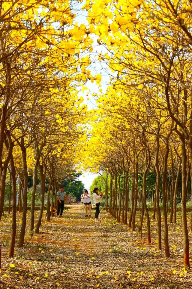 骐骥驰骋开远道，文旅扬帆正当时