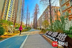 徐州泉山：“内外兼修”优化城区功能品质图片