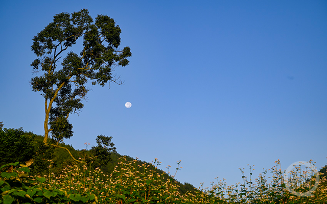 晨雾缭绕间，日出点亮山村
