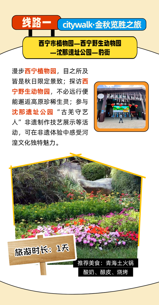 别再问我假期来西宁怎么玩了