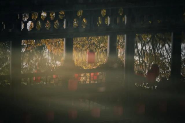 季节限定的美，就藏在闵行这座公园里！随手拍都出片→