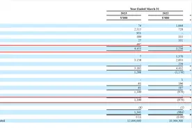 香港券商华赢控股登陆纳斯达克，最新财年经纪佣金和手续费同比大降96%图片