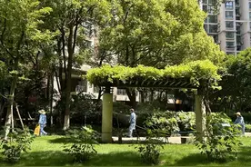 大型社区、热门景点……热浪滚滚，防蚊灭蚊“热火朝天”图片