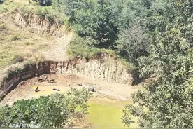 鲁山深处养山猪 “跑”出美味致富路图片