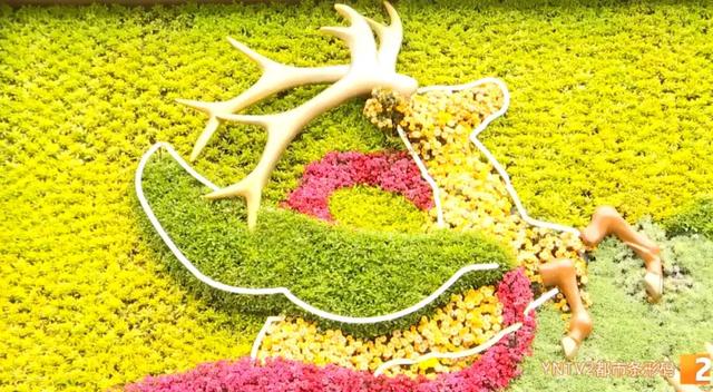 牛虎铜案‌、金马碧鸡‌“画”在墙上了！快来打卡昆明这个50米3D花墙