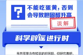 不能吃蛋黄，否则会导致胆固醇升高？图片