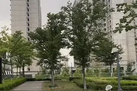 开发商资金周转困难 海轩府剩余人才住房将转化为商品房图片