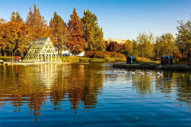 一键Get√氛围感！来这里，将海淀的秋收在镜头中——