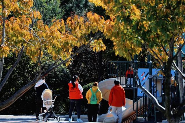 别再问威海去哪赏秋了！这俩公园本地人都去了