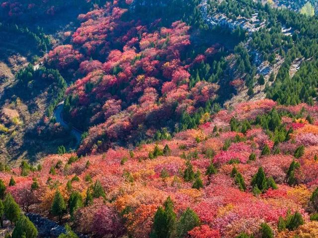 听广播游沂水！“陌上花开”藏着乡村文旅的宝藏密码，冬季暖游更精彩～