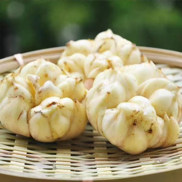 一口井·一座山·一道食，简读龙山新方式！