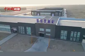 来看看若羌黑枸杞如何华丽变身图片