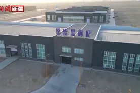 来看看若羌黑枸杞如何华丽变身图片