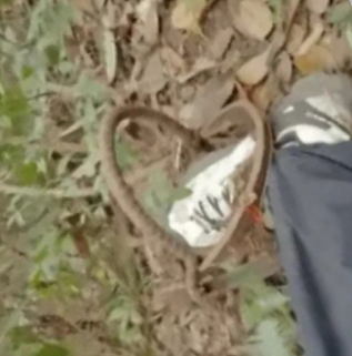 浙江男子沿西湖打卡“爱心路线”，被野猪夹卡在半道，网友：连野猪夹都是爱心型……