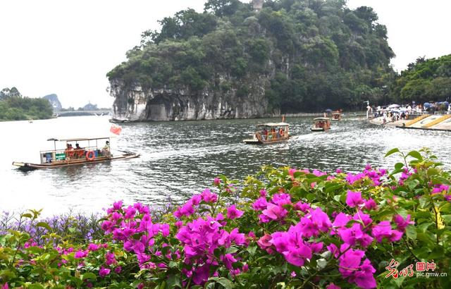 “赏花 +” 点亮双节文旅