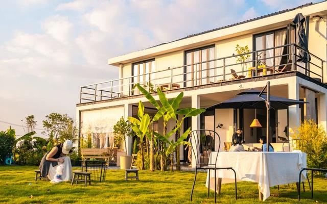 黄金稻田、绝美窗景！这个免费的爆款机位，定格上海最美秋天→