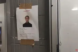 中国芭蕾舞演员德国汉堡失联，领事馆：正等待警方消息，已在协助家人办签证图片