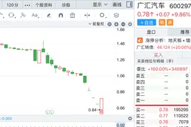10秒钟爆买4.5亿股，广汇汽车连续跌停后再迎涨停，谁在买？图片