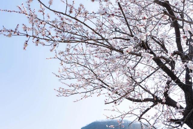 四季皆景，期待重逢！