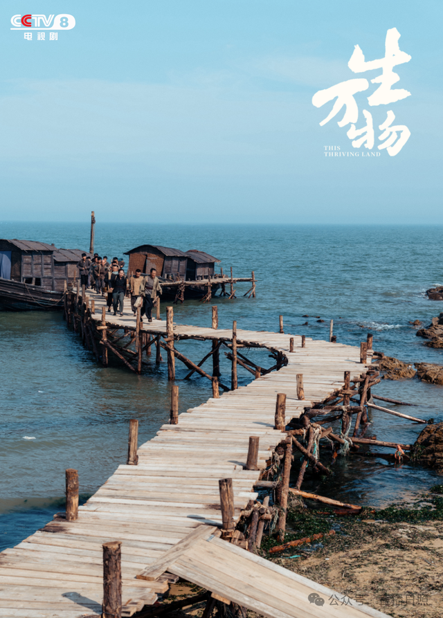 后劲很大！央视报道日照，《生万物》取景地迎旅游热潮！