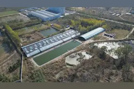 东营市东营区：小小泥鳅“游出”致富路    激活乡村振兴“新路子”图片