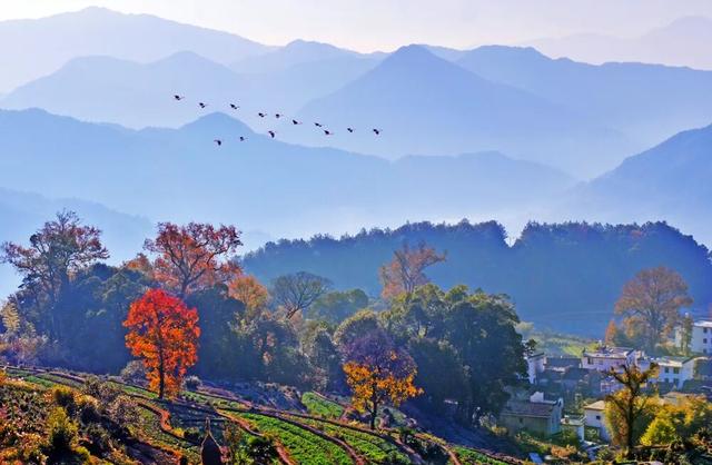 上饶荣登错峰赏秋热门目的地！跨年、寒假、春节连档，邀你共赴冬日诗意之旅