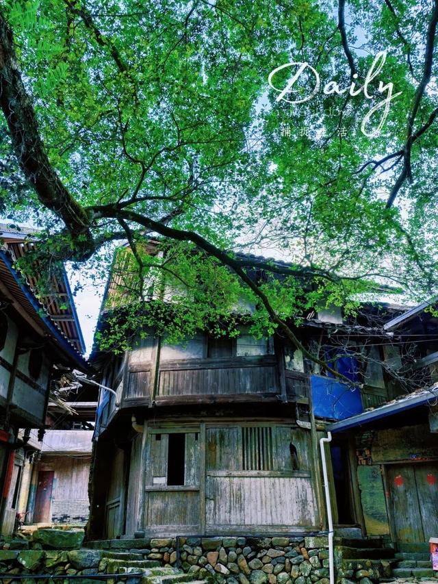 周末去“村”游！这个村人少景美，99%的福安人都不晓得~