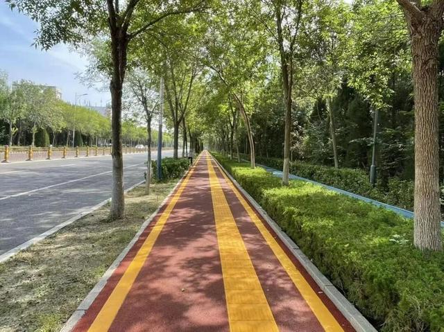 骑游散步一路“无红灯” 东营95公里绿道无障碍贯通