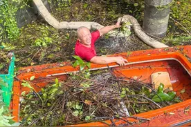 他们为台风后的宝山校园，按下“复原键”图片