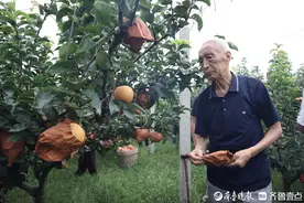谁是“谭秋月”图片