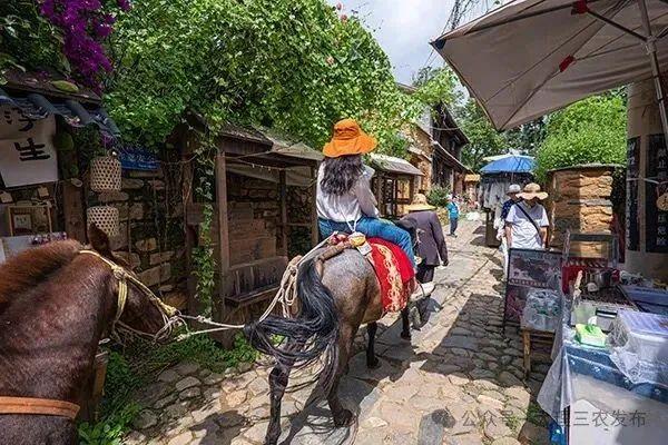 “大理市北纬25度清凉观光游”入选美丽乡村休闲旅游行精品景点线路