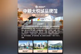 阿里资产再与央企房企合作，开创高效去库存新模式图片