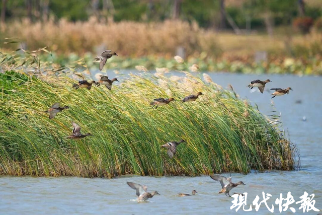连云港再添新地标，首家水上图书分馆亮相月牙岛