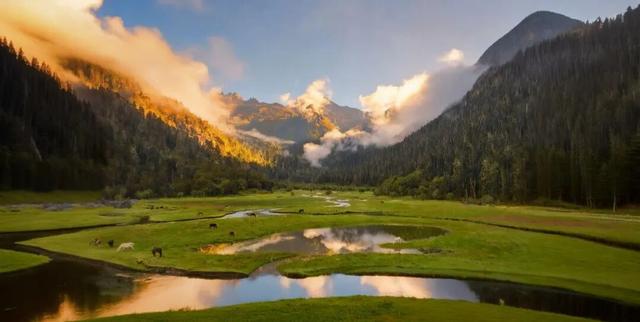 圣洁甘孜·一生有约 | 九龙九秘，一场关于山川、时光与舌尖的极致邀约