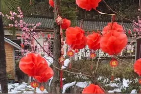 赏雪景变看棉花，造假端不稳旅游饭碗图片