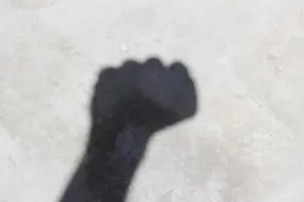 家属称孩子在登封一武校遭教练殴打，警方：涉事教练已被采取刑事措施图片